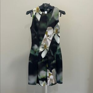 Ted Baker London Black and White Floral Mini Dress